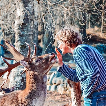 Damwildfarm In Rollerbue Suedschweden Villa Tyringe Exteriör bild