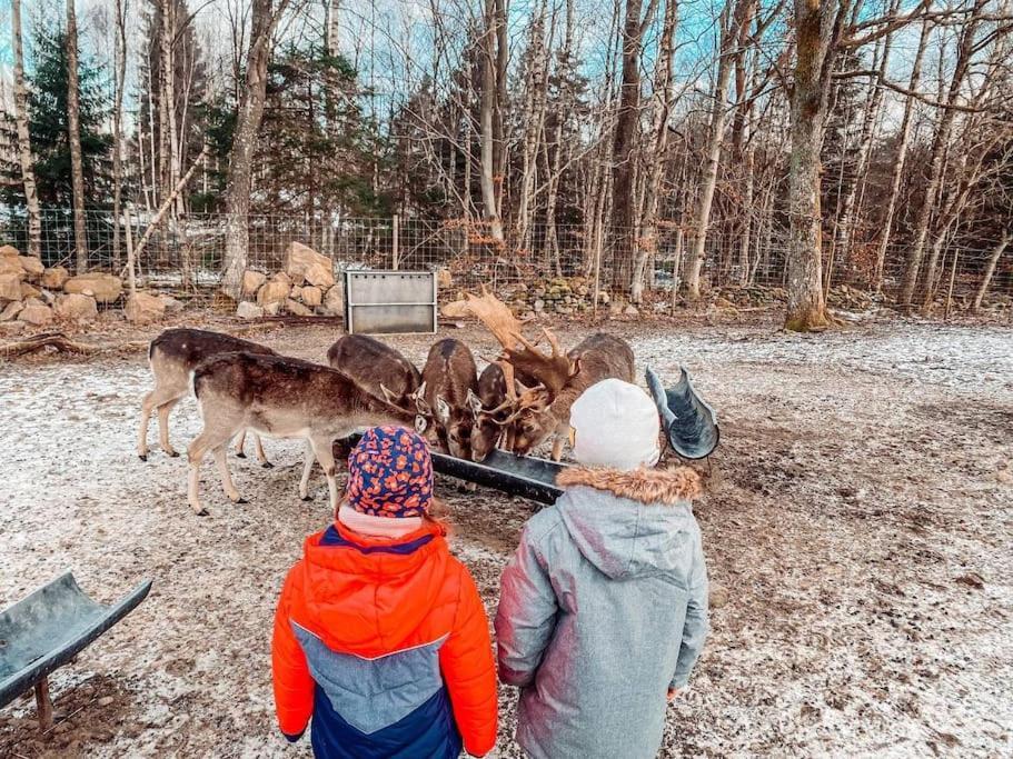 Damwildfarm In Rollerbue Suedschweden Villa Tyringe Exteriör bild