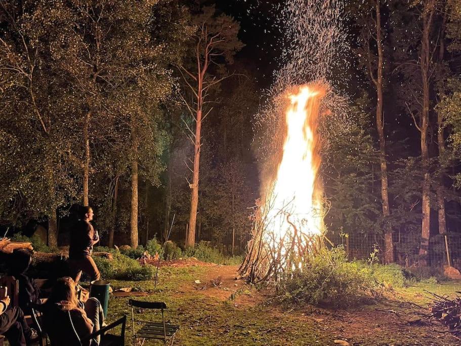 Damwildfarm In Rollerbue Suedschweden Villa Tyringe Exteriör bild