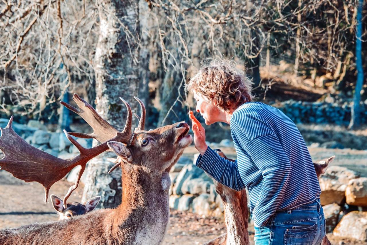 Damwildfarm In Rollerbue Suedschweden Villa Tyringe Exteriör bild
