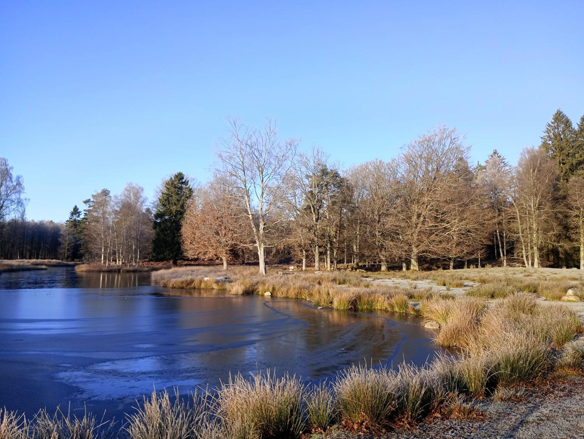Damwildfarm In Rollerbue Suedschweden Villa Tyringe Exteriör bild